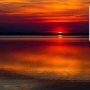 Meet your Posher, Irene